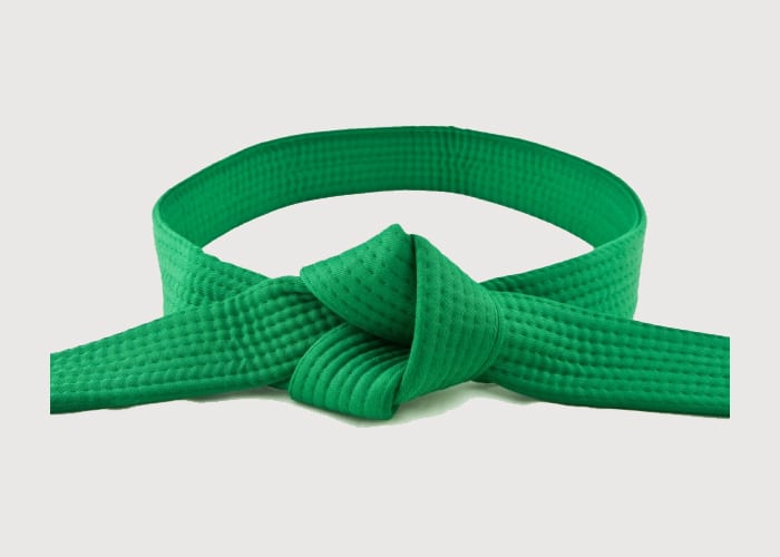 Plemstall Consulting Lean Six Sigma Green Belt Training