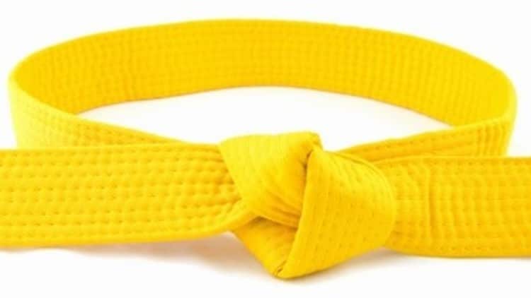 Plemstall Consulting Lean Six Sigma Yellow Belt Training